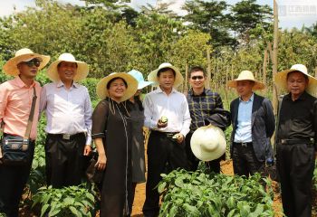 江西省政府代表團考察中國援赤道幾內亞示范農場