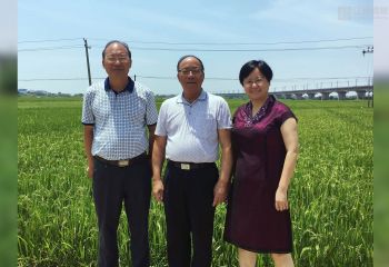 謝華安院士到公司南昌縣富山鄉再生稻試驗基地指導工作