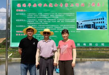 藍海軍副總經理前往福瑞華安種業有限公司福建將樂基地參觀學習