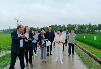 商務部國際經濟合作事務局和農業農村部外經中心 調研組一行到公司視察調研